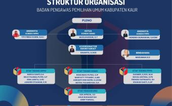 STRUKTUR ORGANISASI